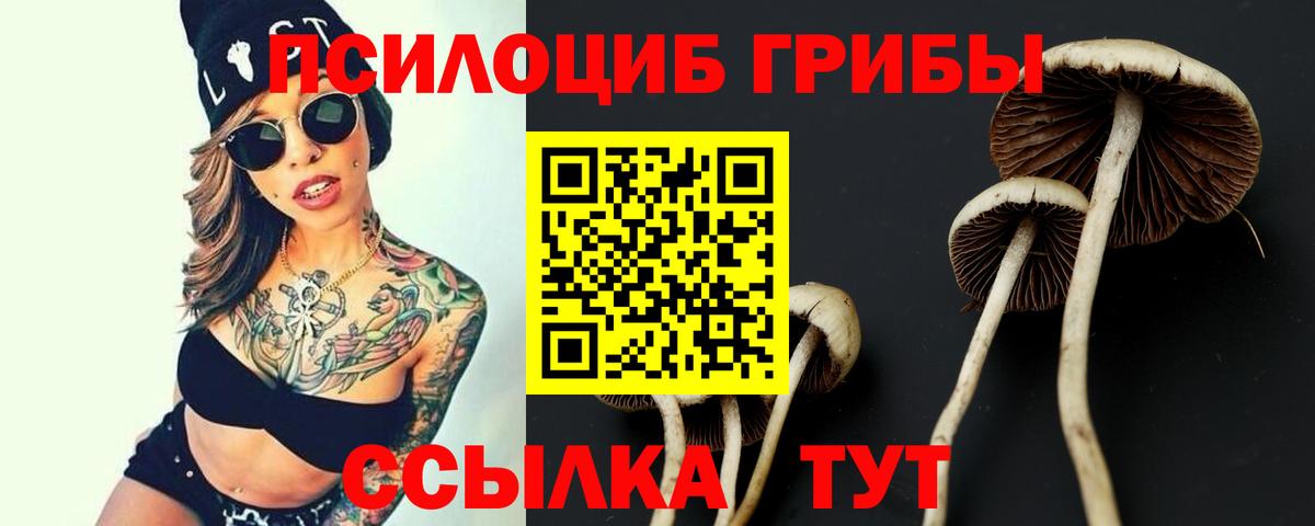 Советск  цены наркотик  Вход с VPN  Галлюциногенные грибы Magic Shrooms 