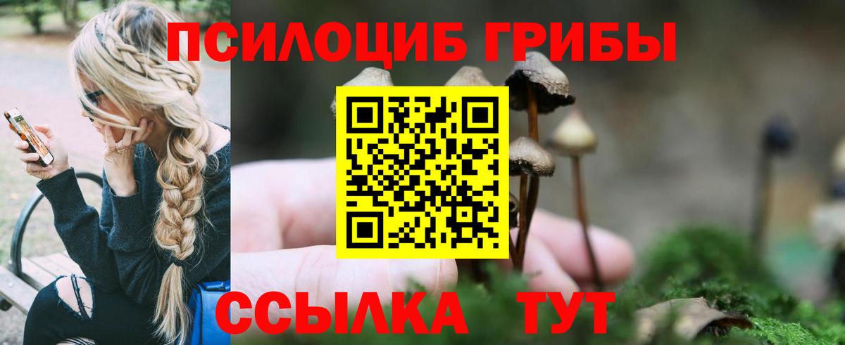 Галлюциногенные грибы Psilocybine cubensis Советск
